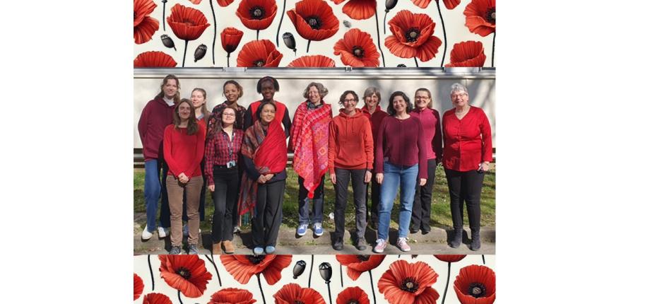 Operation Coquelicots at LOB #coquelicots #IWD2025