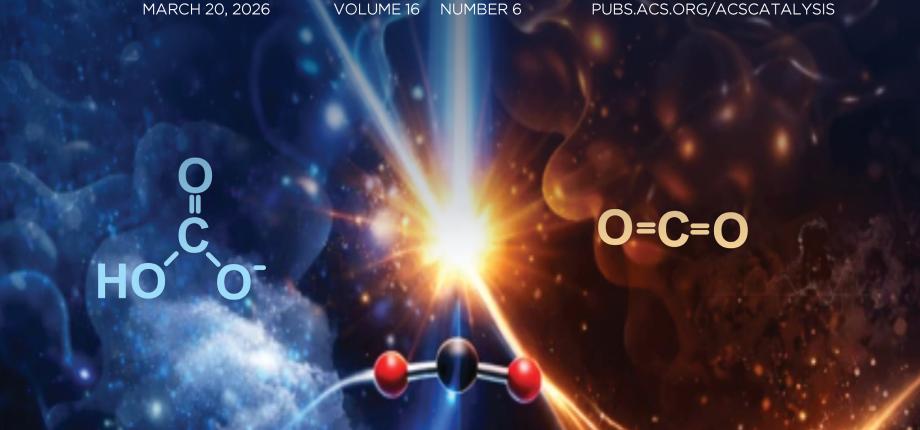 Revisiting the photocycle of a photoenzyme