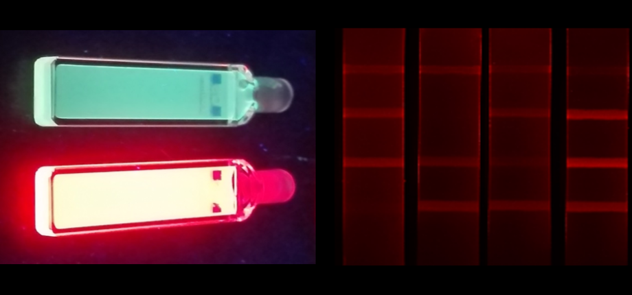Biomolecule in vitro detection