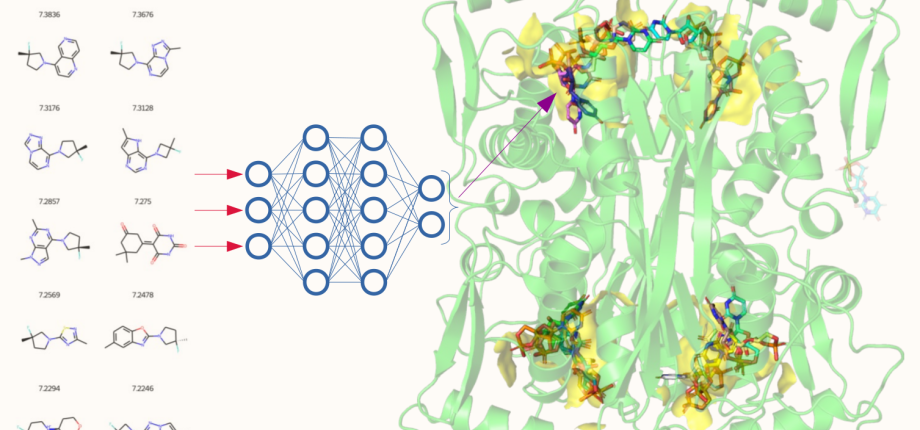 The mechanism, targeting, and evolution of the alternative thymidylate synthase ThyX