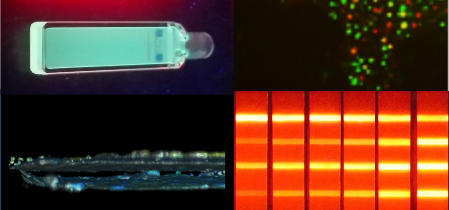 Nanoimagerie dynamique cellulaire et biologie quantitative
