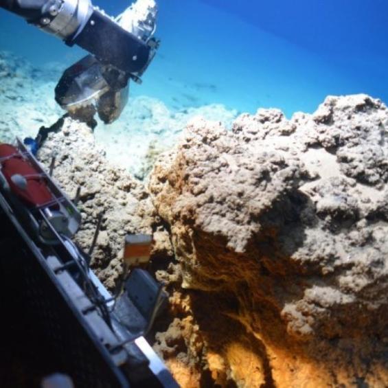 Le haut potentiel des archées