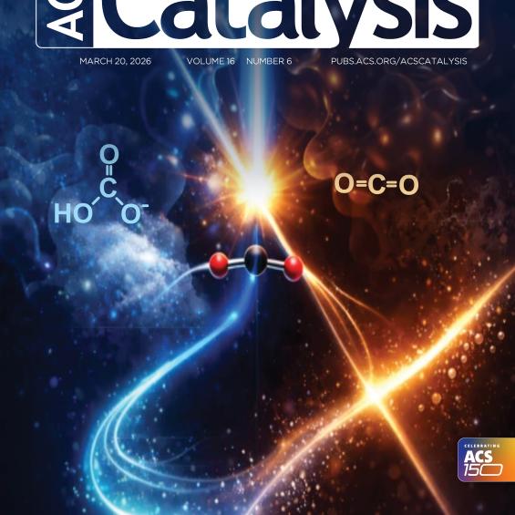 Le photocycle d'une photoenzyme revisité