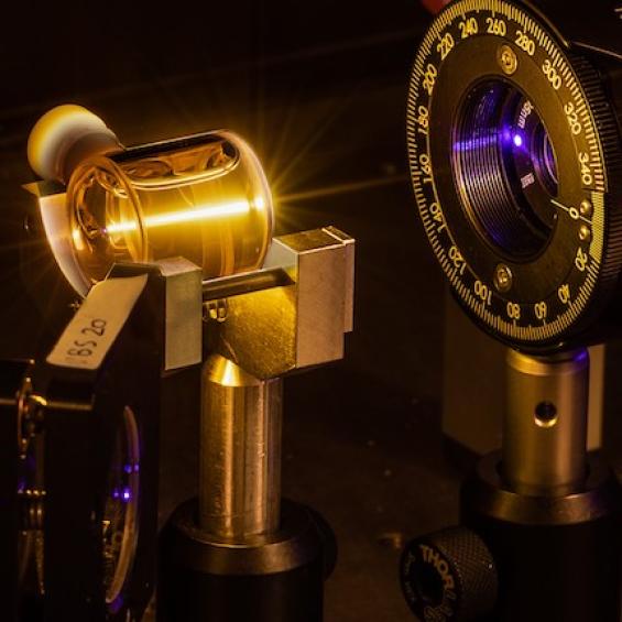 Dynamique interne des biomolécules