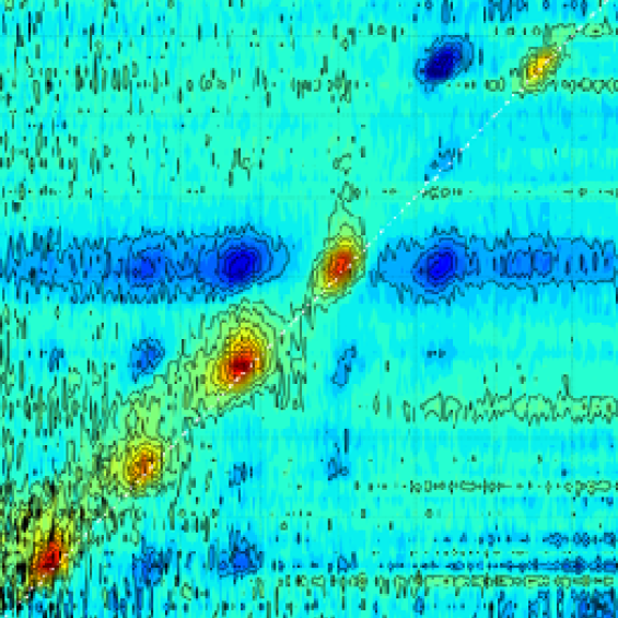 Spectroscopie et contrôle cohérent dans les systèmes biologiques
