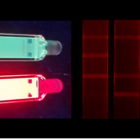 Détection in vitro de biomolécules