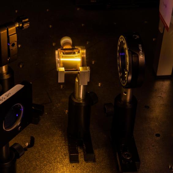 Dynamique de repliement des biomolécules sondée par dichroïsme circulaire résolu en temps