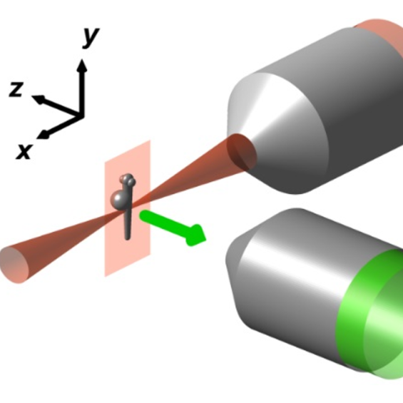 Two-photon light sheet microscopy (2P-SPIM)