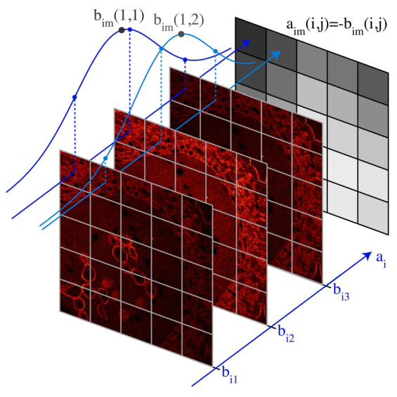 Wavefront control, adaptive optics, Bessel beams