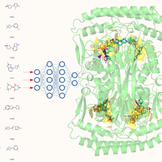 The mechanism, targeting, and evolution of the alternative thymidylate synthase ThyX