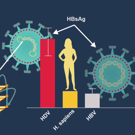 Unusual nucleic acid structures
