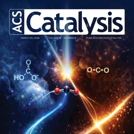 Revisiting the photocycle of a photoenzyme